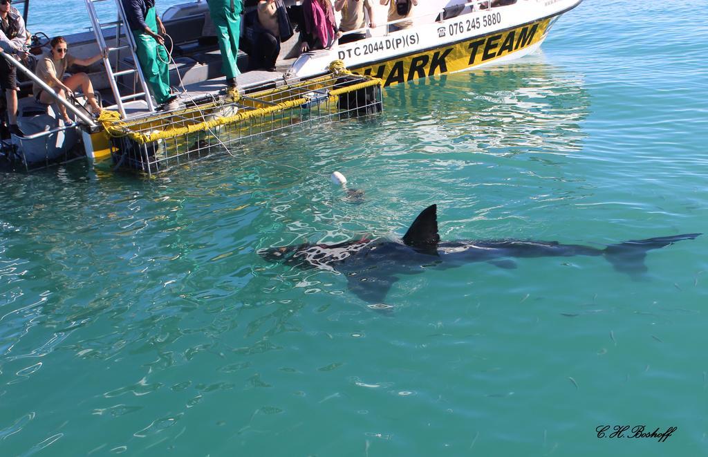Walkerbay Accommodation ハンスバーイ エクステリア 写真